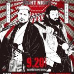 Mark-hunt-vs-roy-Nelson