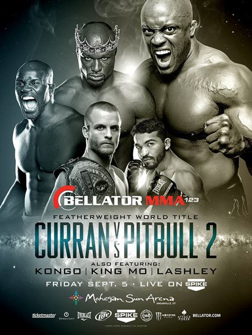 Bellator-123-Fight-Poster