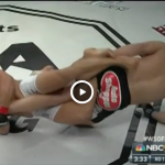 WSOF 16 Rousimar Palhares vs Jon Fitch
