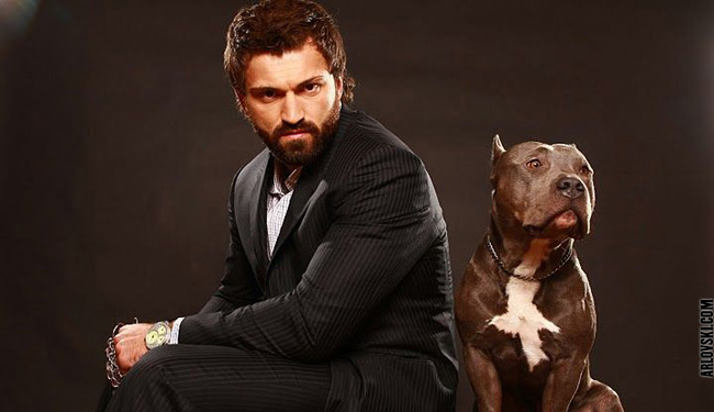 toromagazine.com-arlovski2