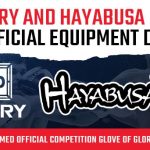 Hayabusa-Glory