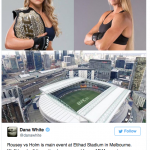 UFC 193