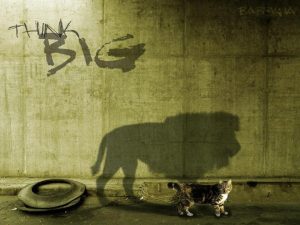 576953_411289838892844_1901523980_n