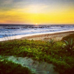 1003825_623236867698139_1580777943_n