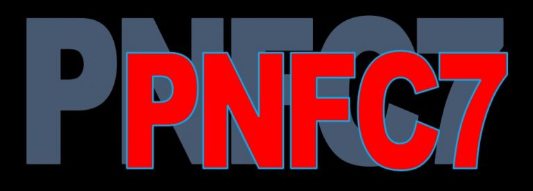 PNFC7, proiettori sugli "amateur" 6