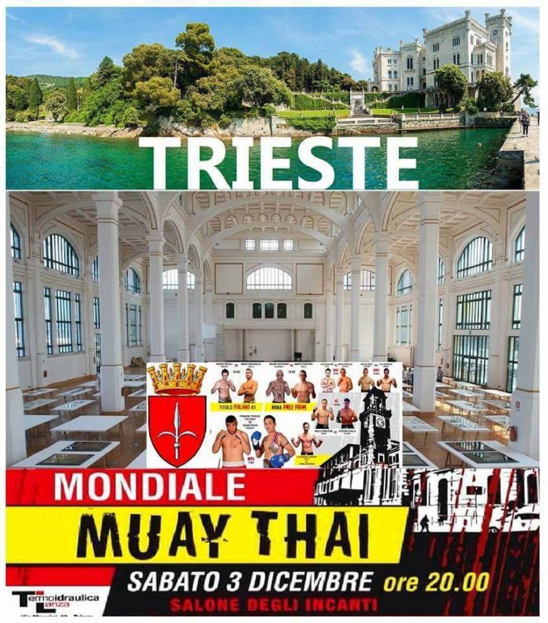 GOTTI PROMOTION: MONDIALE MTA 4