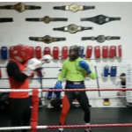 Ecco un video di Conor che si allena di Boxe... secondo me prende le palate 25
