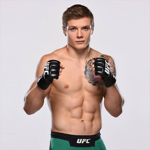 Osservato speciale UFC219 1