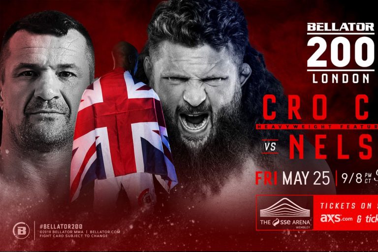 MIRKO CRO COP VS ROY NELSON AL BELLATOR 6