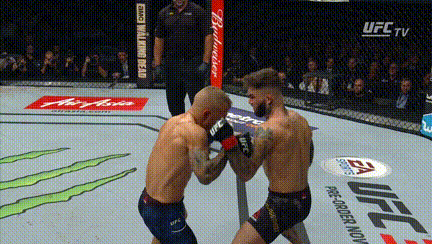 UFC 227 - DILLASHAW VS GARBRANDT II 2