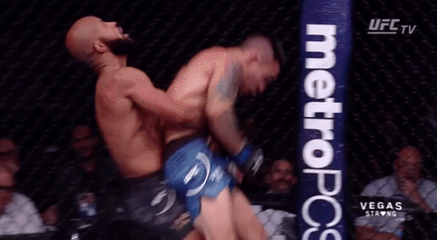 OSSERVATO SPECIALE - UFC 227 1