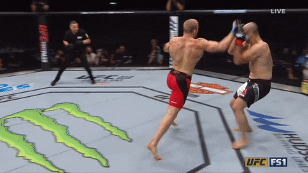 UFC FIGHT NIGHT: VOLKAN VS SMITH 1