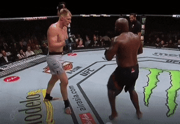 UFC 230 : CORMIER VS LEWIS 1