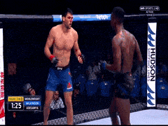 OSSERVATO SPECIALE UFC 230 2