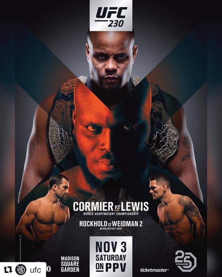 RISULTATI UFC 230 10