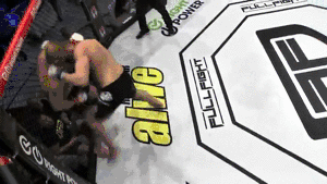 UFC FIGHT NIGHT: BLAYDES VS NGANNOU II 2