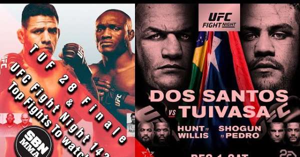 THE ULTIMATE FIGHTER 28 FINALE + UFC FIGHT NIGHT: DOS SANTOS VS TUIVASA 13