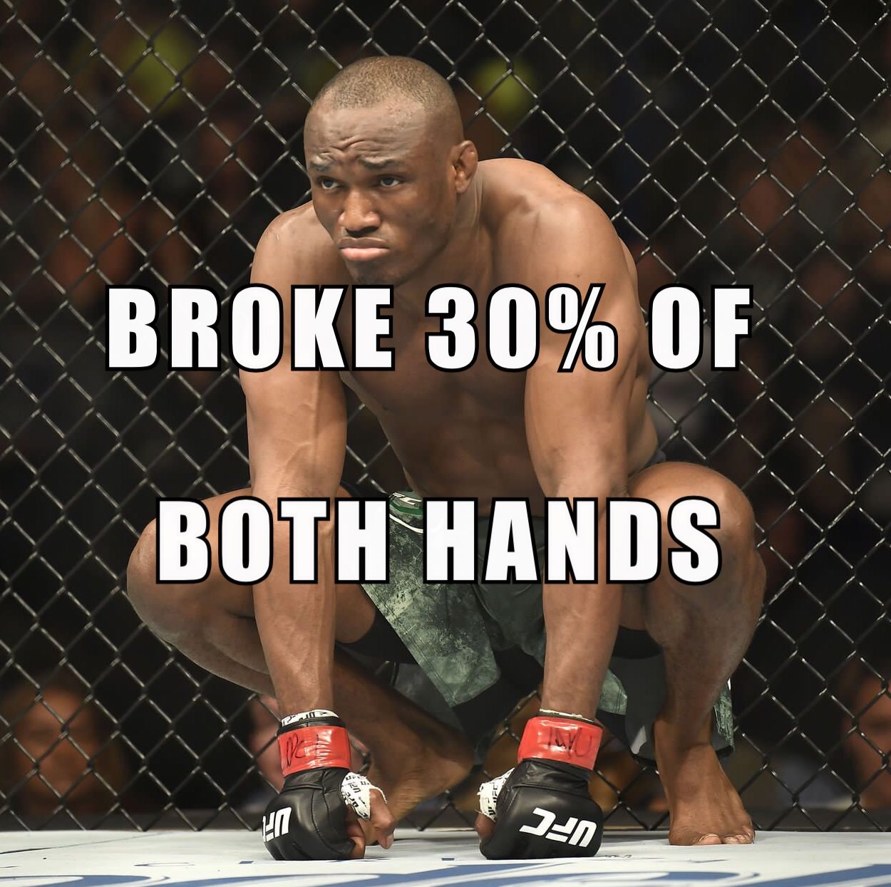 THE ULTIMATE FIGHTER 28 FINALE + UFC FIGHT NIGHT: DOS SANTOS VS TUIVASA 1