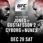 UFC 232: JONES VS GUSTAFFSON II 13