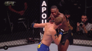 UFC 232: JONES VS GUSTAFFSON II 1