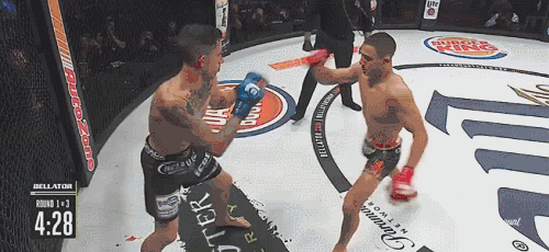 BELLATOR 214: FEDOR VS BADER 2