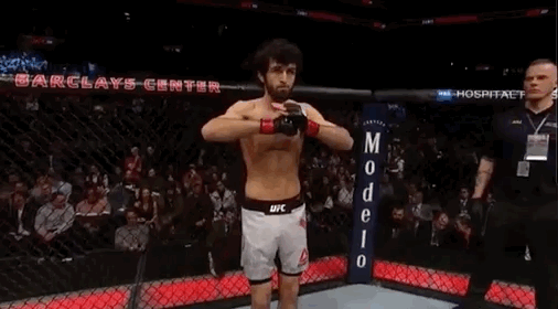 UFC 235: JONES VS SMITH 6