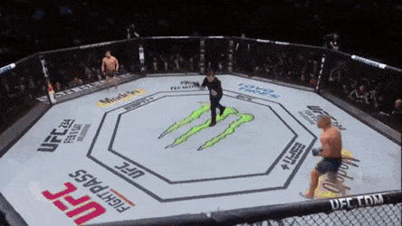 UFC 238 : CEJUDO VS. MORAES 1