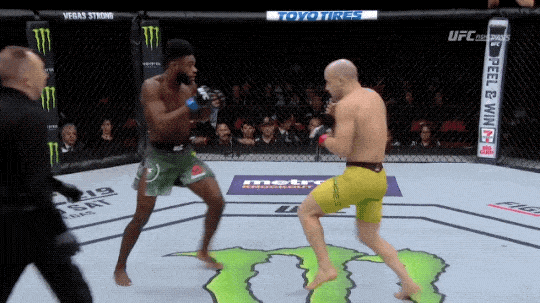 UFC 238 : CEJUDO VS. MORAES 2