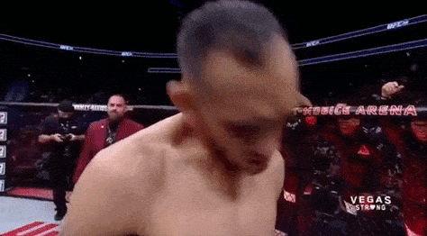 UFC 238 : CEJUDO VS. MORAES 5