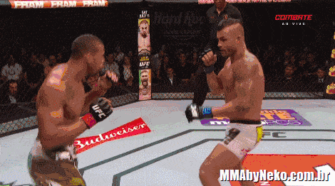 UFC 239: JONES VS. SANTOS 2