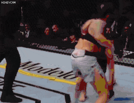 UFC 239: JONES VS. SANTOS 3