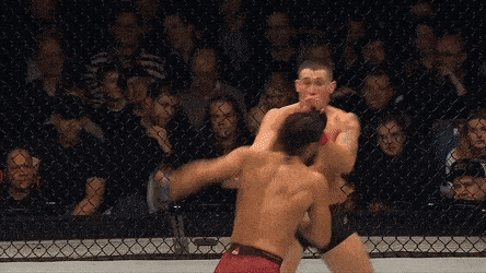 UFC 239: JONES VS. SANTOS 5