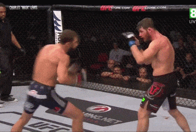 OSSERVATO SPECIALE UFC 239 1