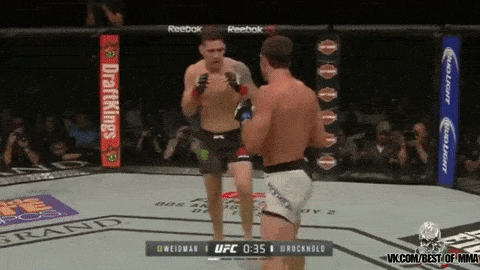 OSSERVATO SPECIALE UFC 239 2