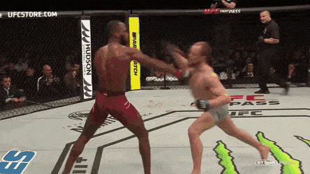 UFC ON ESPN 4: DOS ANJOS VS. EDWARDS 2