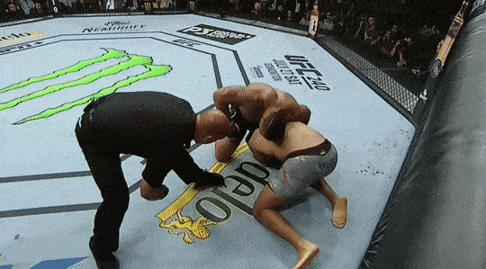RISULTATI UFC ON ESPN 4 4