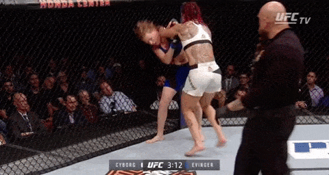 UFC 240: HOLLOWAY VS. EDGAR 3