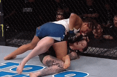 UFC 240: HOLLOWAY VS. EDGAR 4