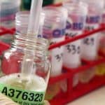 IBJJF annuncia controlli antidoping ai Mondiali No-Gi 31