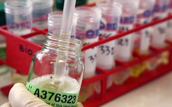 IBJJF annuncia controlli antidoping ai Mondiali No-Gi 22