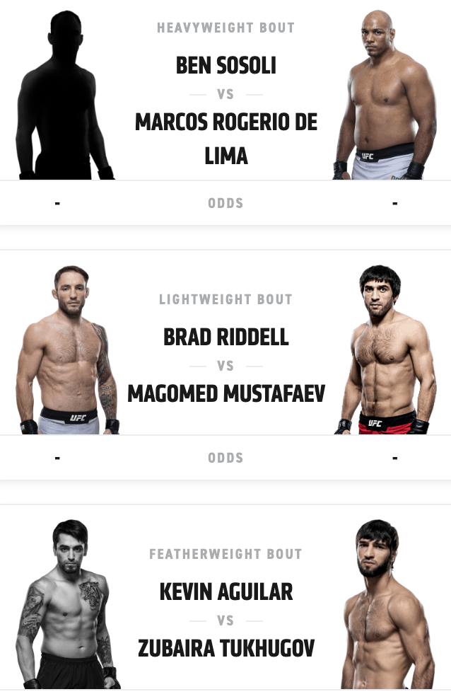 UFC Fight Night 168 : Felder vs. Hooker 3