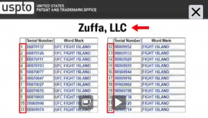Fight Island & UFC Fight Island sono marchi protetti 1