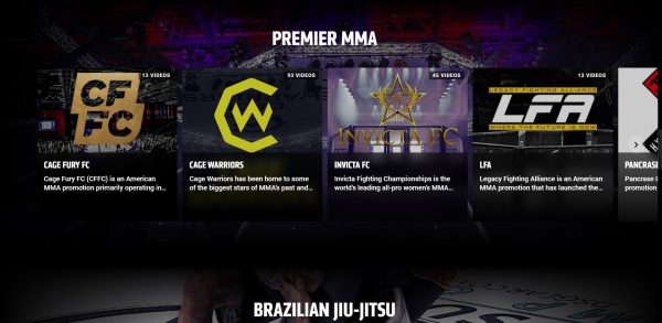 Inchiesta: La Crisi delle MMA Italiane e la Necessità di allenarsi negli USA, cosa ci dicono i numeri 17