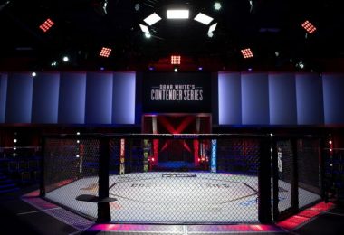Inchiesta: La Crisi delle MMA Italiane e la Necessità di allenarsi negli USA, cosa ci dicono i numeri 3