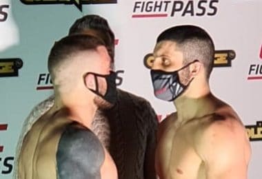 Risultati card pro The Golden Cage 3 1