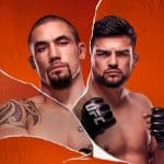 Ufc Vegas 24