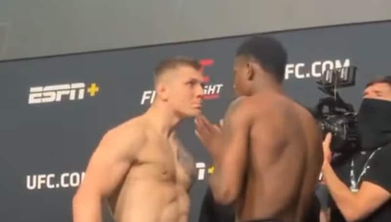 Risultati Vettori vs Holland: come è andata? 1