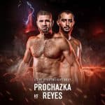 UFC VEGAS 25
