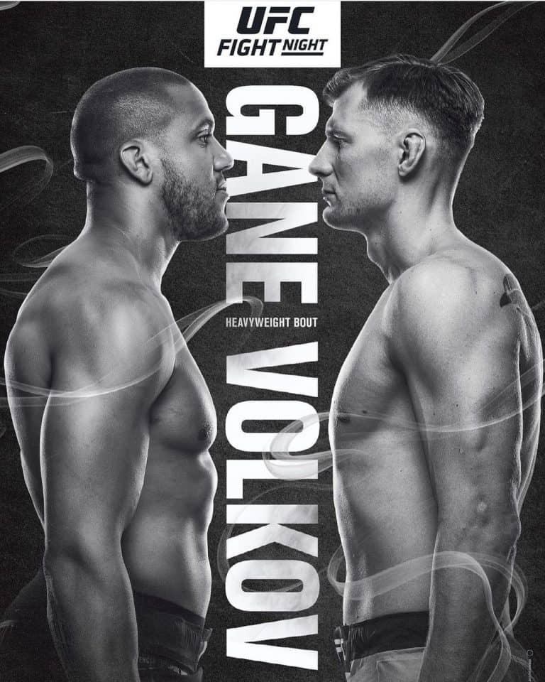 UFC Fight Night: Gane vs. Volkov
