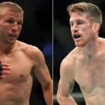 Sandhagen vs Dillashaw